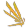 Icarus